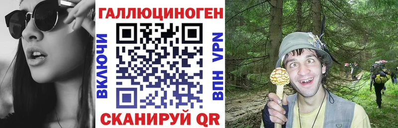 Псилоцибиновые грибы Psilocybine cubensis Трубчевск