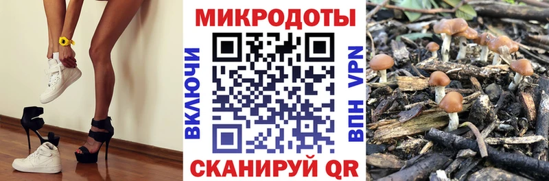 Галлюциногенные грибы GOLDEN TEACHER  купить закладку  Трубчевск 